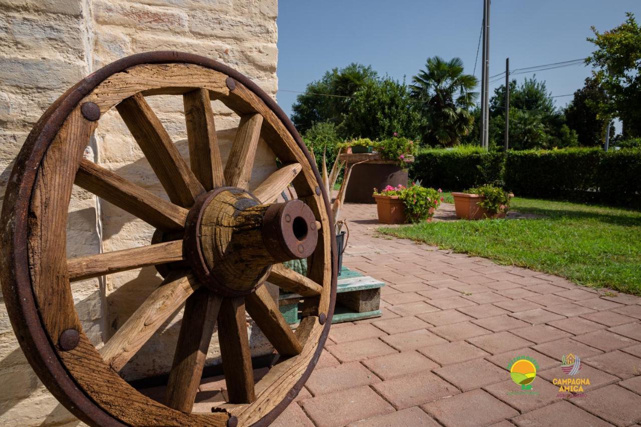 Agriturismo Colombera Quarto dʼAltino Dış mekan fotoğraf