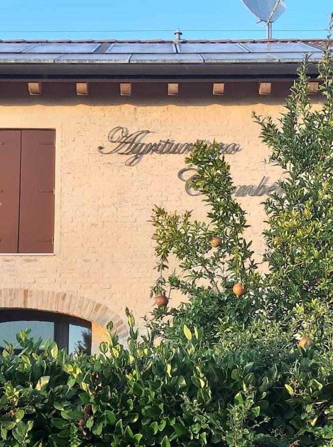 Agriturismo Colombera Quarto dʼAltino Dış mekan fotoğraf