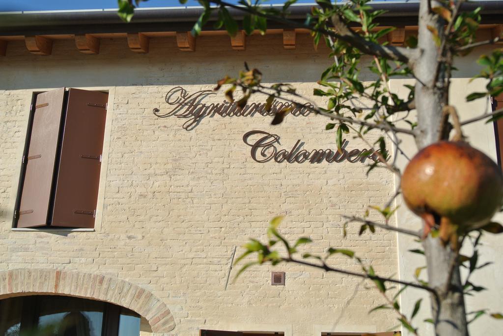 Agriturismo Colombera Quarto dʼAltino Dış mekan fotoğraf