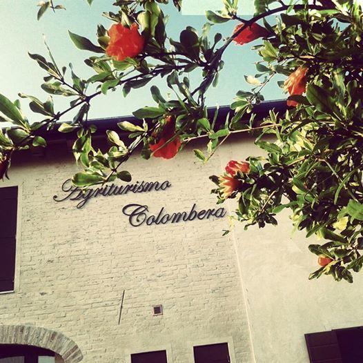Agriturismo Colombera Quarto dʼAltino Dış mekan fotoğraf