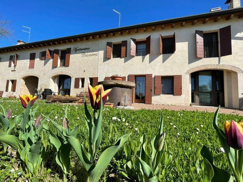 Agriturismo Colombera Quarto dʼAltino Dış mekan fotoğraf
